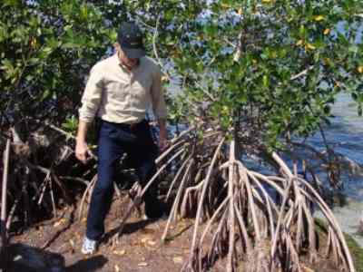 Ecological Engineering Ecotechnology