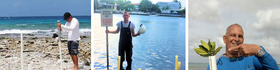 Mangrove Project Management