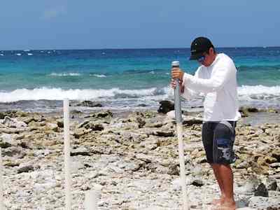 Mangrove Reef Island Formation