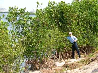 Riley Encased Methodology